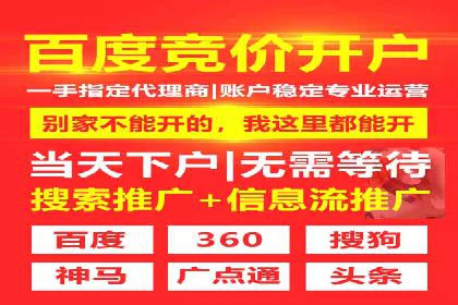 SEM竞价培训：实战案例解析与优化